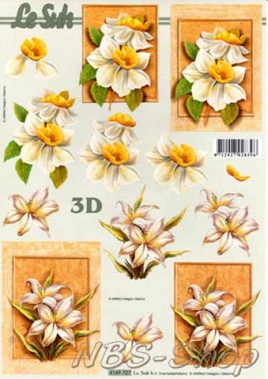 3D Bogen Blumen im Rahmen