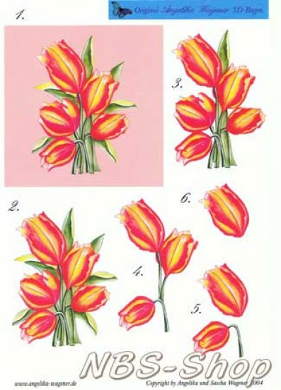 3D Bogen Tulpen-Bild