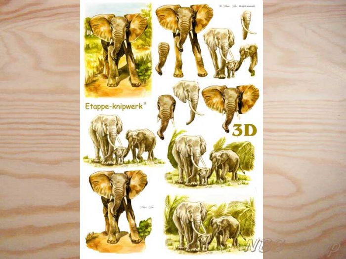 3D Bogen Elefanten